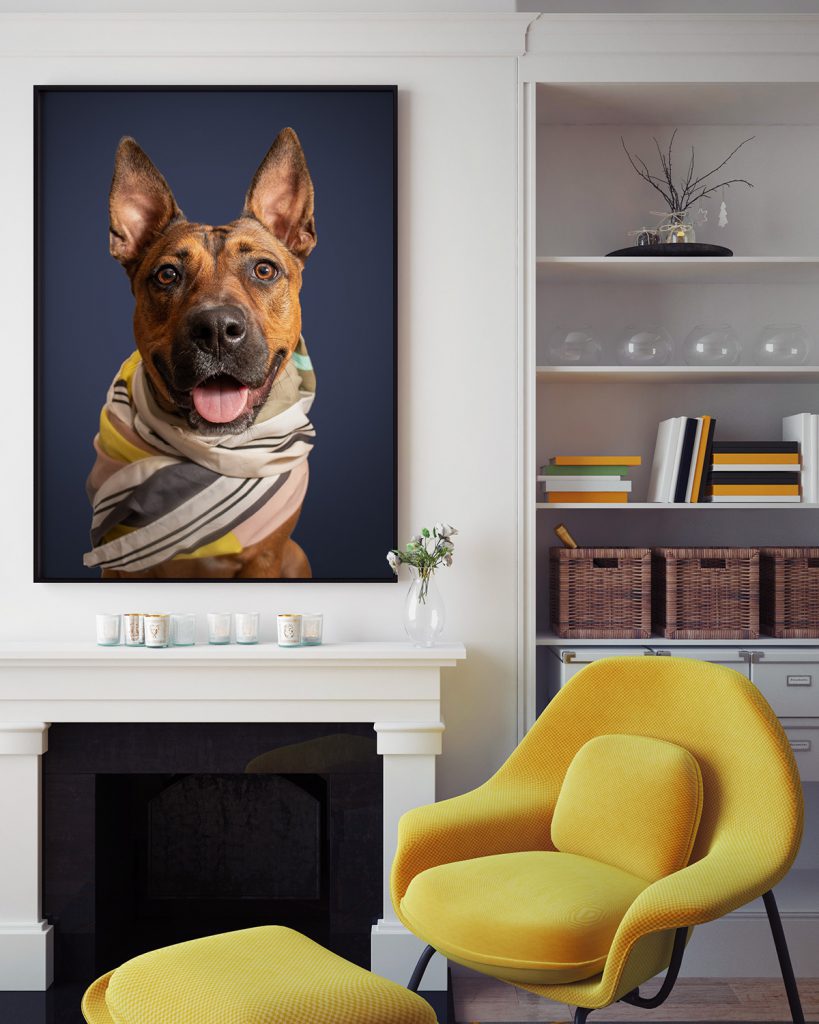 Framed Wall Art
