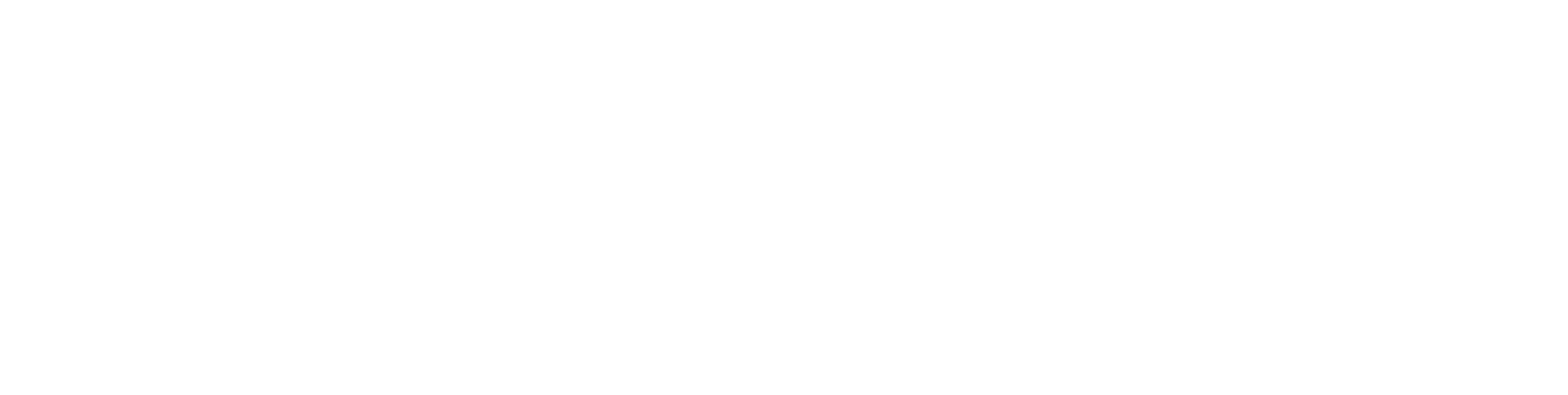 Apawture Studios Logo Horizontal