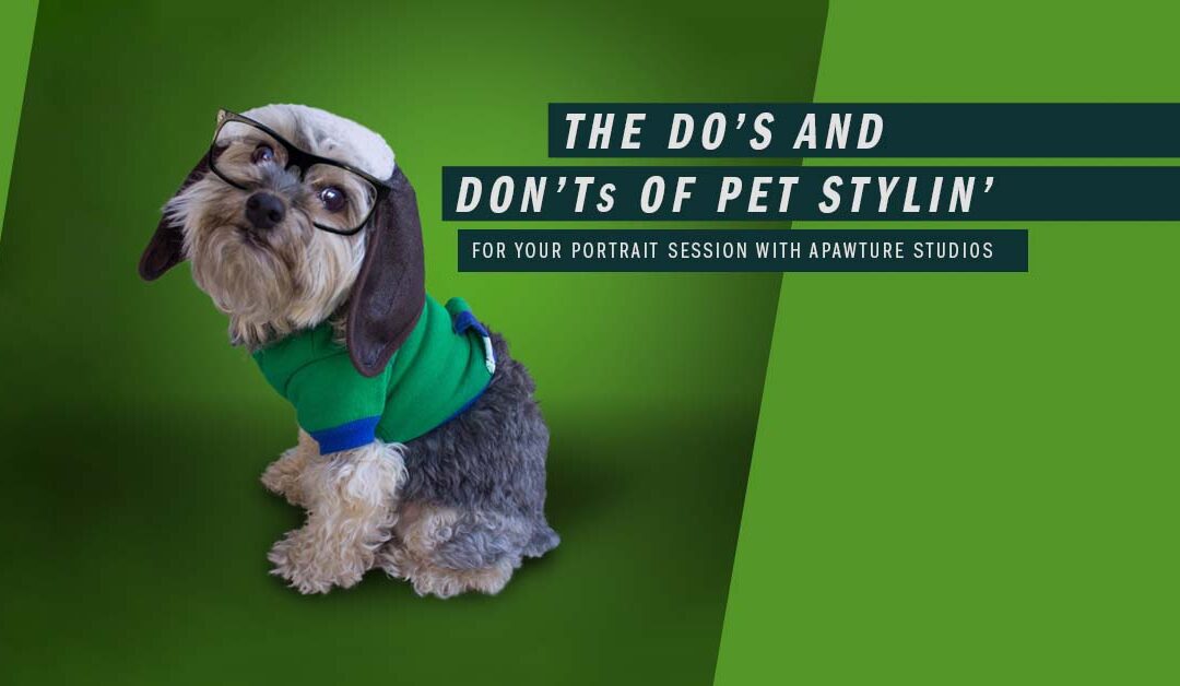 The Do’s and Don’ts to Dressing your Pet for a Photography Session