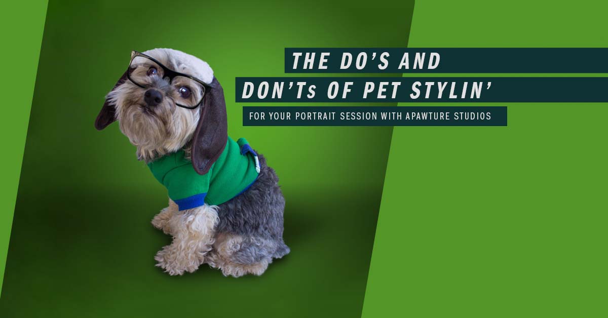 Pet Stylin' Blog Feature Image