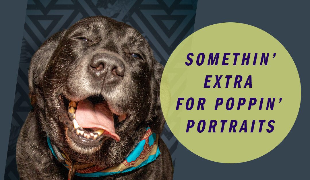 This bit of “something Extra” Will make your pet portrait really pop!