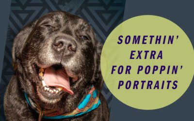 This bit of “something Extra” Will make your pet portrait really pop!