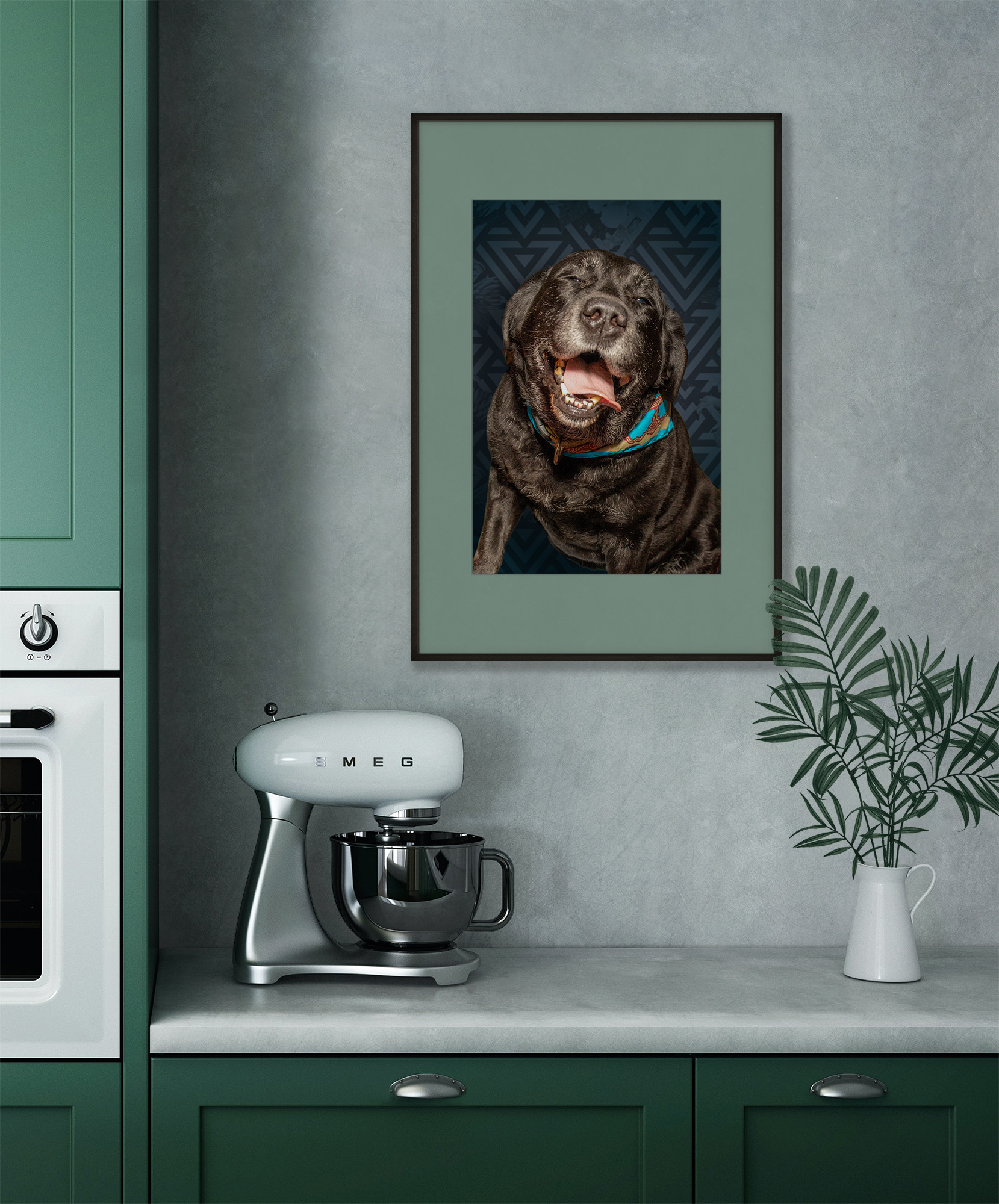 Maggie the sugar-faced senior labrador, in an olive green kitchen. portrait
