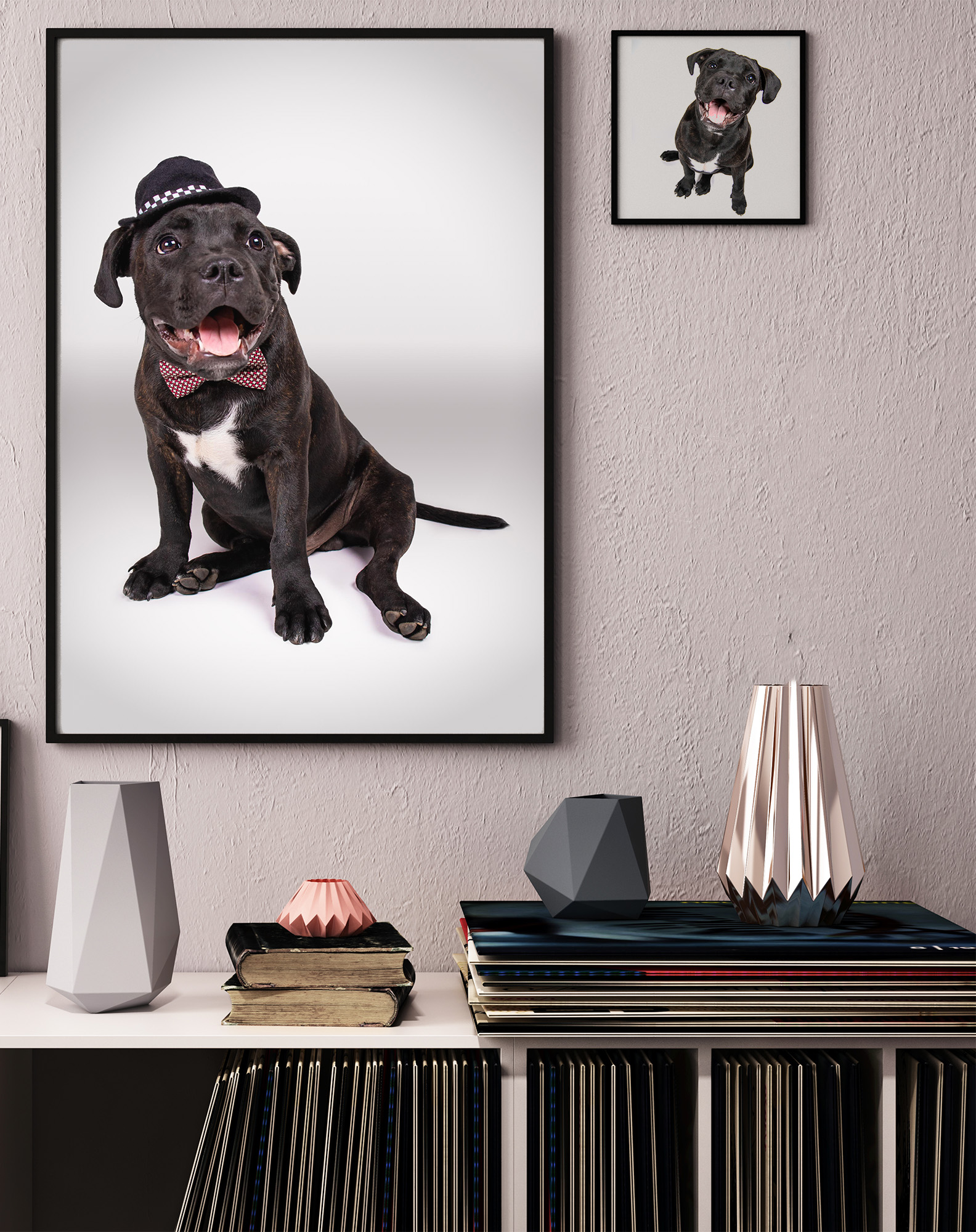 Puppy Lincoln in stylish room mockup with records.