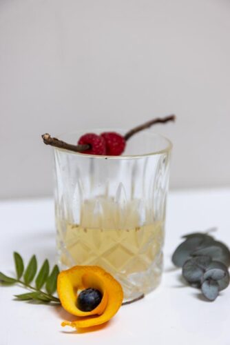 Cocktail for dogs with stick and raspberry garnish. 