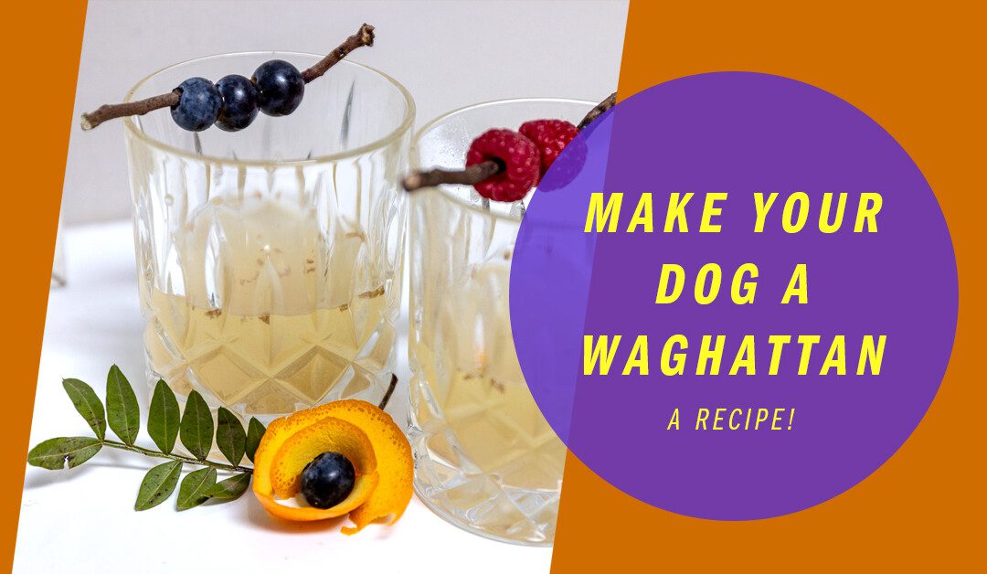 How to add some spring to your Pup’s step with this refreshing Waghattan