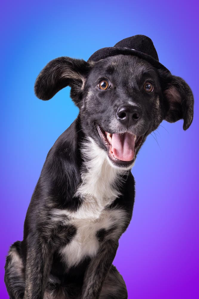 Patty with a little black hat on and a big smile.