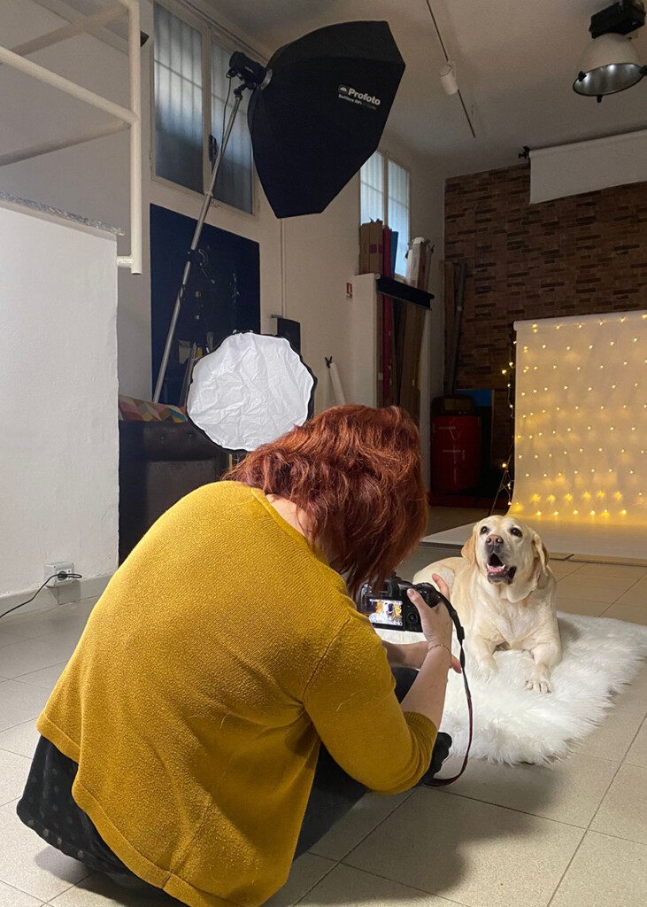Carol (red hair in a yellow sweater) sitting on the floor photographing a yellow labrador retriever in front of her in a professional photo studio with sparkly lights on a white backdrop.