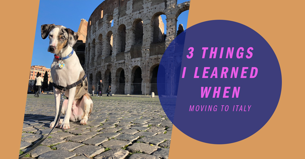 Feature image with Mucca the catahoula dog in Rome, Italy in front of the Colosseum in the sun with a bright blue sky. There's a circle graphic next to it saying "3 Things I learned when moving to Italy"