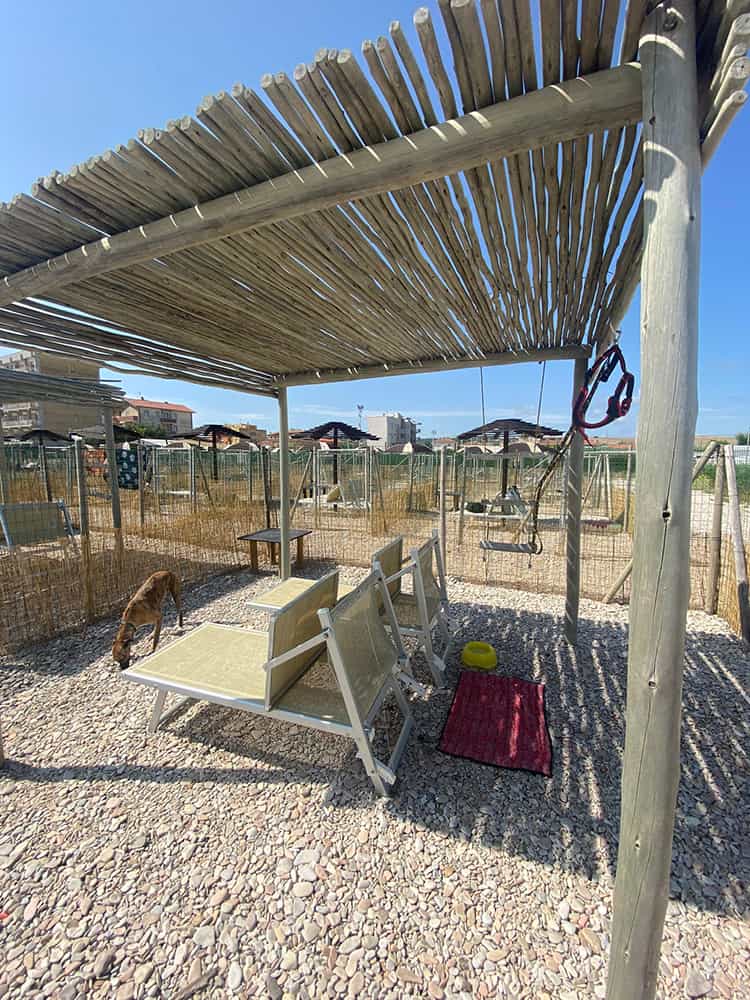 Fenced in ox area on the beach with beds, table, pergola covering, dog cooling mat, dog water bowl at the beach near Rimini.