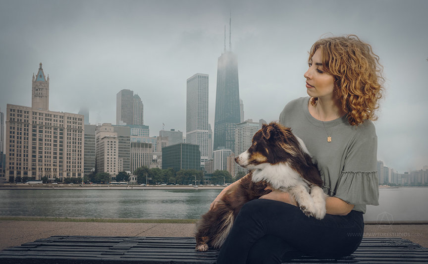 Girl with curly blonde hair and border collie portrait photographed in front of Chicago skyline with Wrigley Building and John Hancock behind the lake.