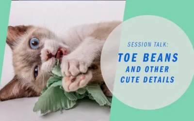 Toe Beans and the Details that Make a Session Personal